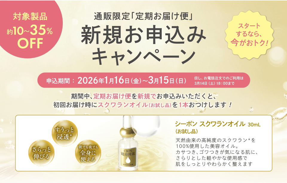 �V�K���\���݃L�����y�[��