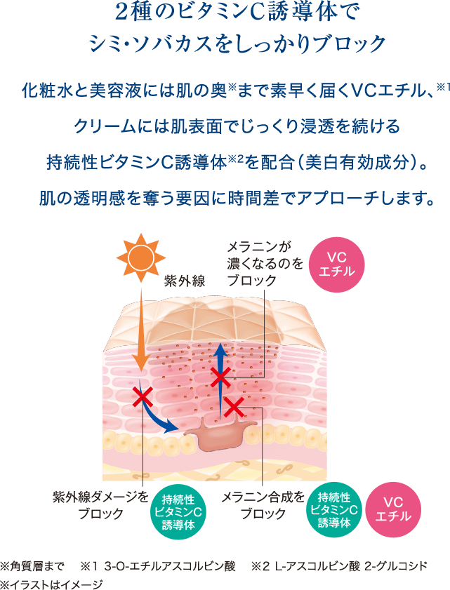 Fwセット 公式 シーボン C Bon ホームケア 化粧品 とサロンケア フェイシャルケア で美肌へと導く化粧品メーカー