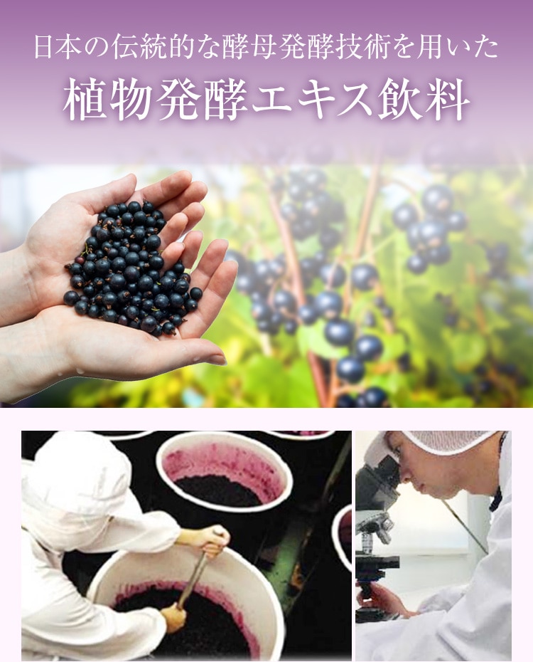 �A�����y�G�L�X����