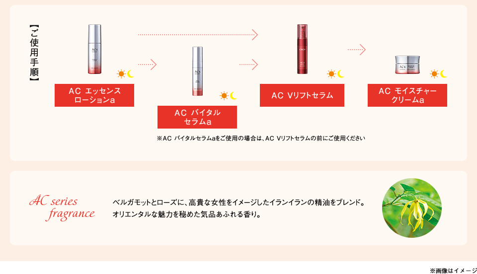 gp菇