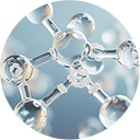 11��̃A�~�m�_*