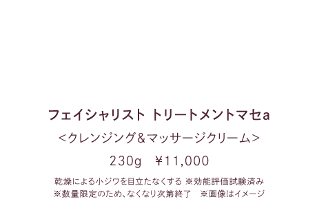 �t�F�C�V�����X�g �g���[�g�����g�}�Za ���N�����W���O���}�b�T�[�W�N���[���� 230g�@��11,000